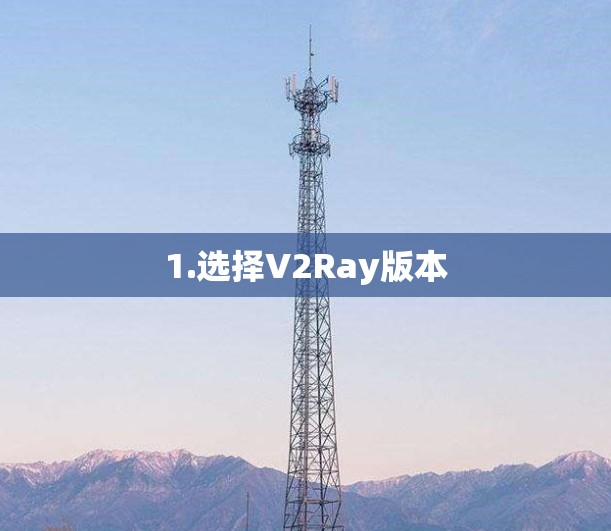 1.选择V2Ray版本