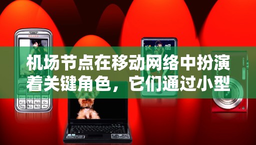 机场节点在移动网络中扮演着关键角色，它们通过小型边缘设备为用户提供高效、可靠的网络服务。以下是对机场节点的详细分析