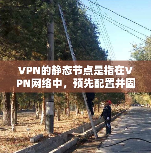 VPN的静态节点是指在VPN网络中，预先配置并固定的节点，用于管理和控制网络流量。以下是关于VPN静态节点的详细说明
