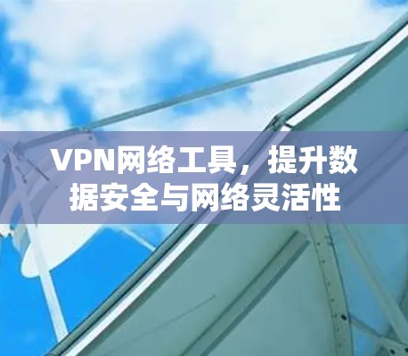 VPN网络工具，提升数据安全与网络灵活性