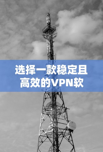 选择一款稳定且高效的VPN软件对于保护网络安全和隐私至关重要。以下是一些推荐的稳定VPN软件，供你参考