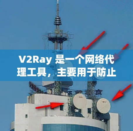 V2Ray 是一个网络代理工具，主要用于防止网络封锁和访问受限的网站。高速节点通常指的是经过优化的服务器，能够提供更快的网络连接速度。下面是关于 V2Ray 高速节点的一些关键信息