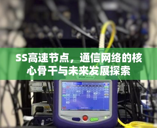 SS高速节点，通信网络的核心骨干与未来发展探索