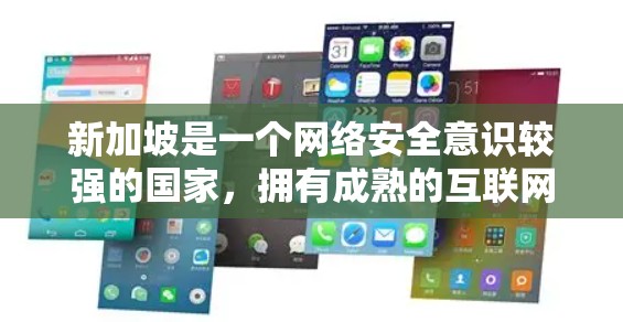 新加坡是一个网络安全意识较强的国家，拥有成熟的互联网基础设施和丰富的网络服务选项。以下是一些建议，帮助你选择合适的VPN服务