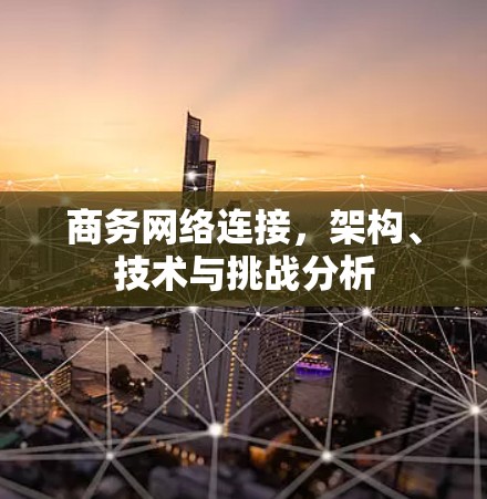 商务网络连接，架构、技术与挑战分析