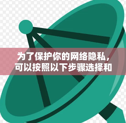 为了保护你的网络隐私，可以按照以下步骤选择和配置这些工具