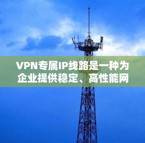 VPN专属IP线路是一种为企业提供稳定、高性能网络连接的解决方案，主要适用于对网络延迟和带宽要求较高的场景。以下是对该技术的详细分析