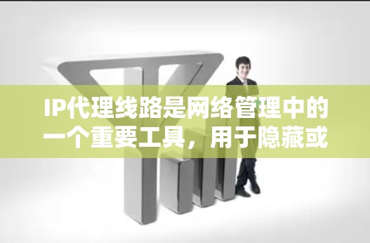 IP代理线路是网络管理中的一个重要工具，用于隐藏或控制网络访问，以下是对IP代理线路的详细分析和总结