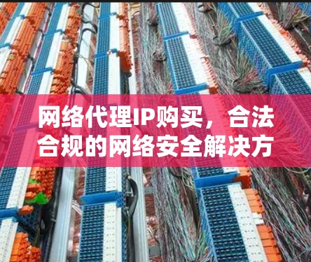 网络代理IP购买，合法合规的网络安全解决方案