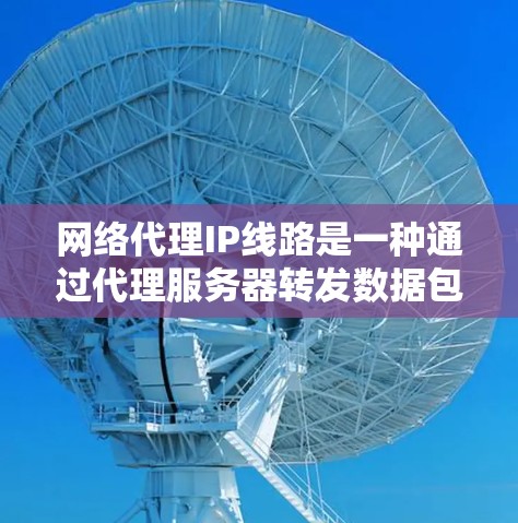网络代理IP线路是一种通过代理服务器转发数据包的技术，允许用户通过指定的代理IP地址访问互联网。以下是对网络代理IP线路的详细解释
