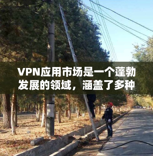 VPN应用市场是一个蓬勃发展的领域，涵盖了多种类型和功能的服务，旨在帮助用户保护隐私、安全访问网络资源。以下是一些关键点和分析
