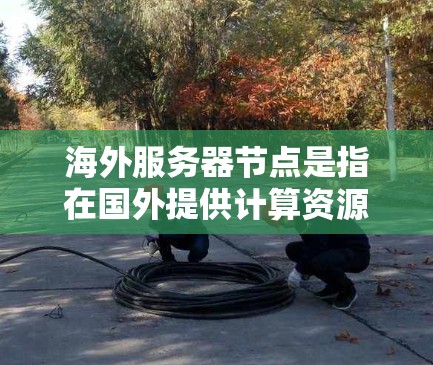 海外服务器节点是指在国外提供计算资源和服务的服务器。这些服务器可以通过互联网与本地服务器或用户进行数据交换和通信。以下是关于海外服务器节点的一些详细信息