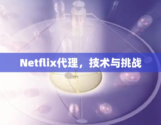 Netflix代理，技术与挑战