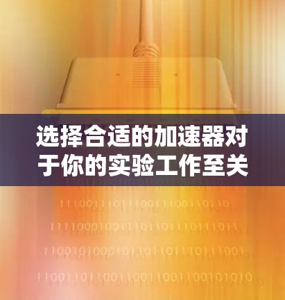 选择合适的加速器对于你的实验工作至关重要。以下是基于你的需求和考虑因素的总结和建议