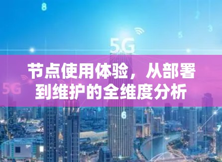 节点使用体验，从部署到维护的全维度分析