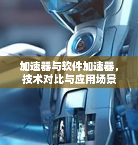 加速器与软件加速器，技术对比与应用场景