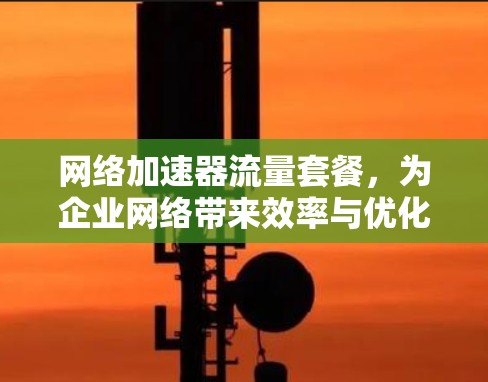 网络加速器流量套餐，为企业网络带来效率与优化