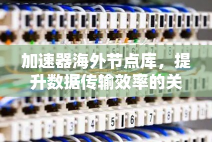 加速器海外节点库，提升数据传输效率的关键方案