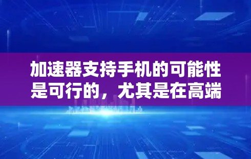 加速器支持手机的可能性是可行的，尤其是在高端和特定领域的手机上。以下是对这一问题的详细分析和总结