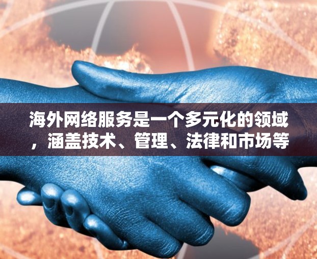海外网络服务是一个多元化的领域，涵盖技术、管理、法律和市场等多个方面。以下是对该领域的详细分析和总结
