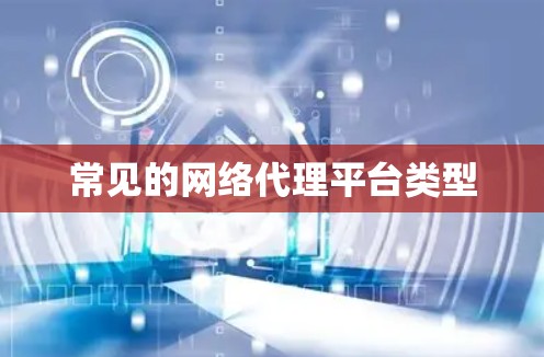 常见的网络代理平台类型