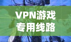 VPN游戏专用线路是为满足游戏玩家对网络连接稳定性、延迟低以及资源获取的需求而设计的专门服务。以下是关于VPN游戏专用线路的一些关键信息