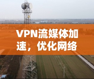 VPN流媒体加速，优化网络性能与用户体验