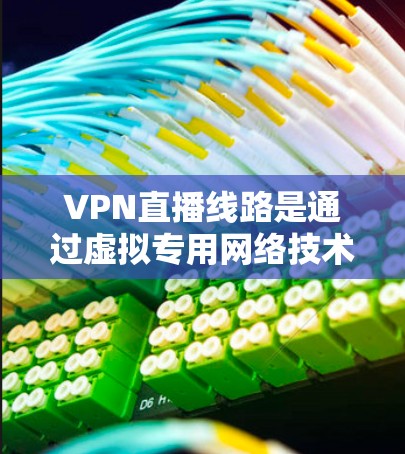 VPN直播线路是通过虚拟专用网络技术实现实时流媒体传输的解决方案，旨在保障内容安全和保护观众隐私。以下是对VPN直播线路的详细分析