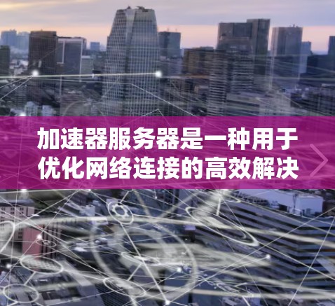 加速器服务器是一种用于优化网络连接的高效解决方案，特别适用于内部网络服务的远程访问。以下是加速器服务器的详细线路和关键组件