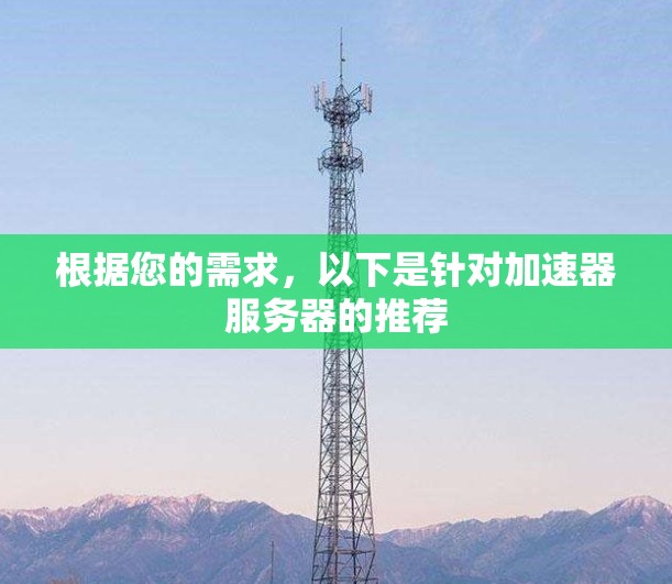 根据您的需求，以下是针对加速器服务器的推荐