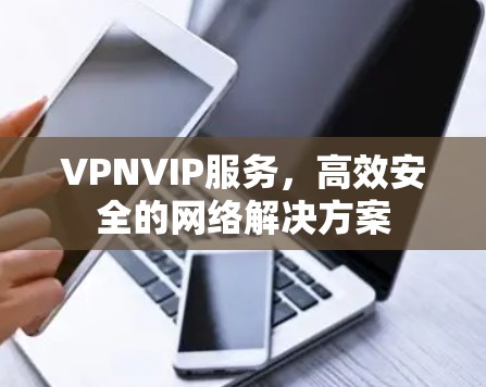 VPNVIP服务，高效安全的网络解决方案