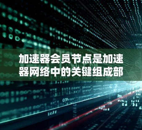加速器会员节点是加速器网络中的关键组成部分，负责管理和处理加速器流量，确保数据在高效、低延迟的环境中传输。以下是对加速器会员节点的详细分析