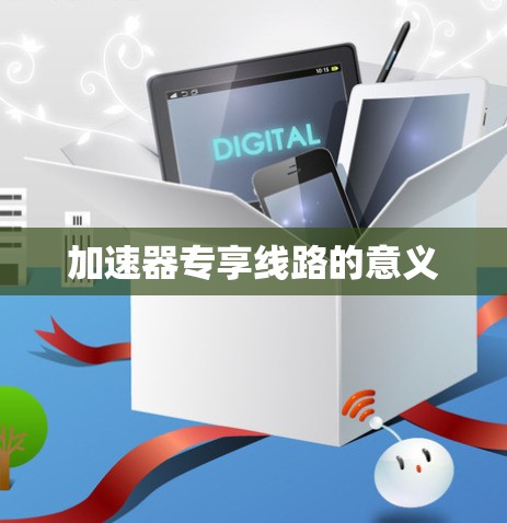 加速器专享线路的意义