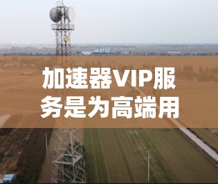 加速器VIP服务是为高端用户和企业提供定制化、高性能和高安全性的数据加速解决方案。以下是对加速器VIP服务的详细分析