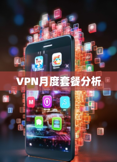 VPN月度套餐分析