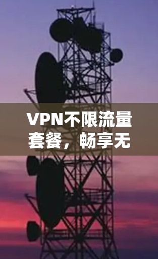 VPN不限流量套餐，畅享无限互联网自由
